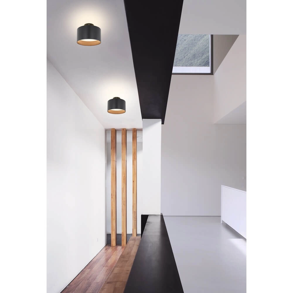 Ceiling lamp Jenny black Ø 14cm Globo 9007371408146