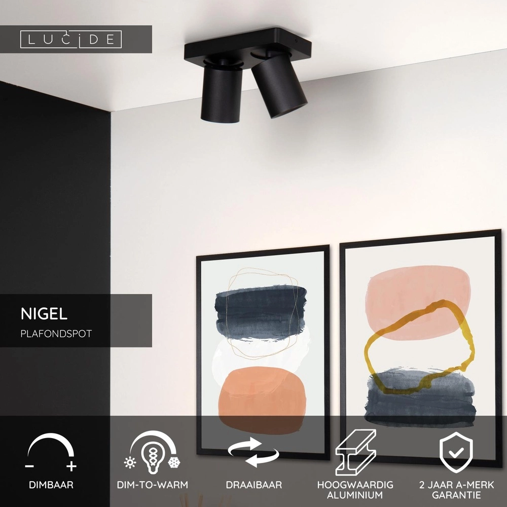Ceiling spotlight Nigel 2-light black Lucide 5411212092557
