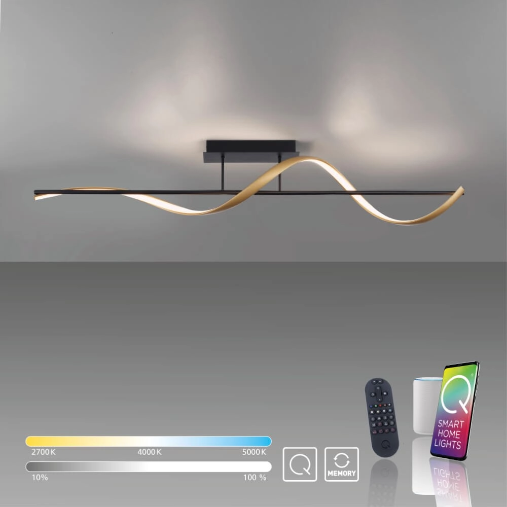Ceiling lamp Q-Swing anthracite Paul Neuhaus 4012248373774