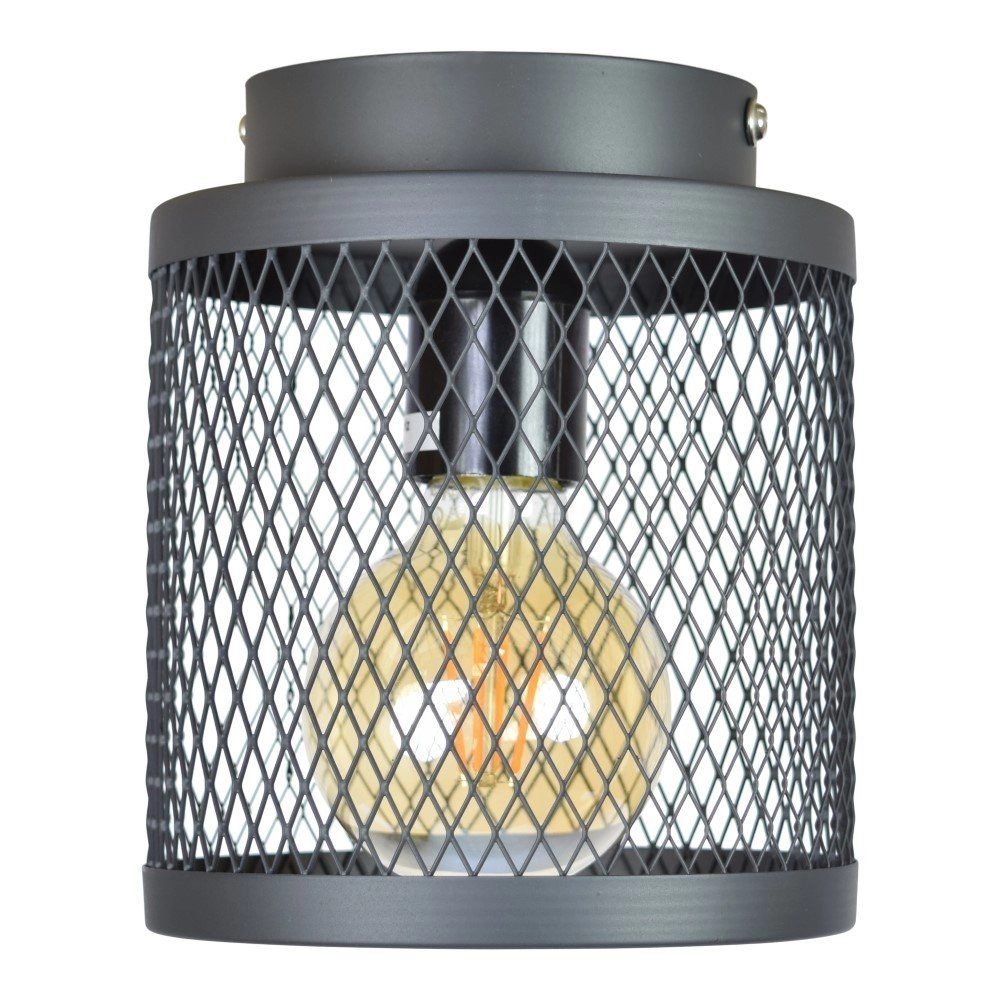 Ceiling light Fence