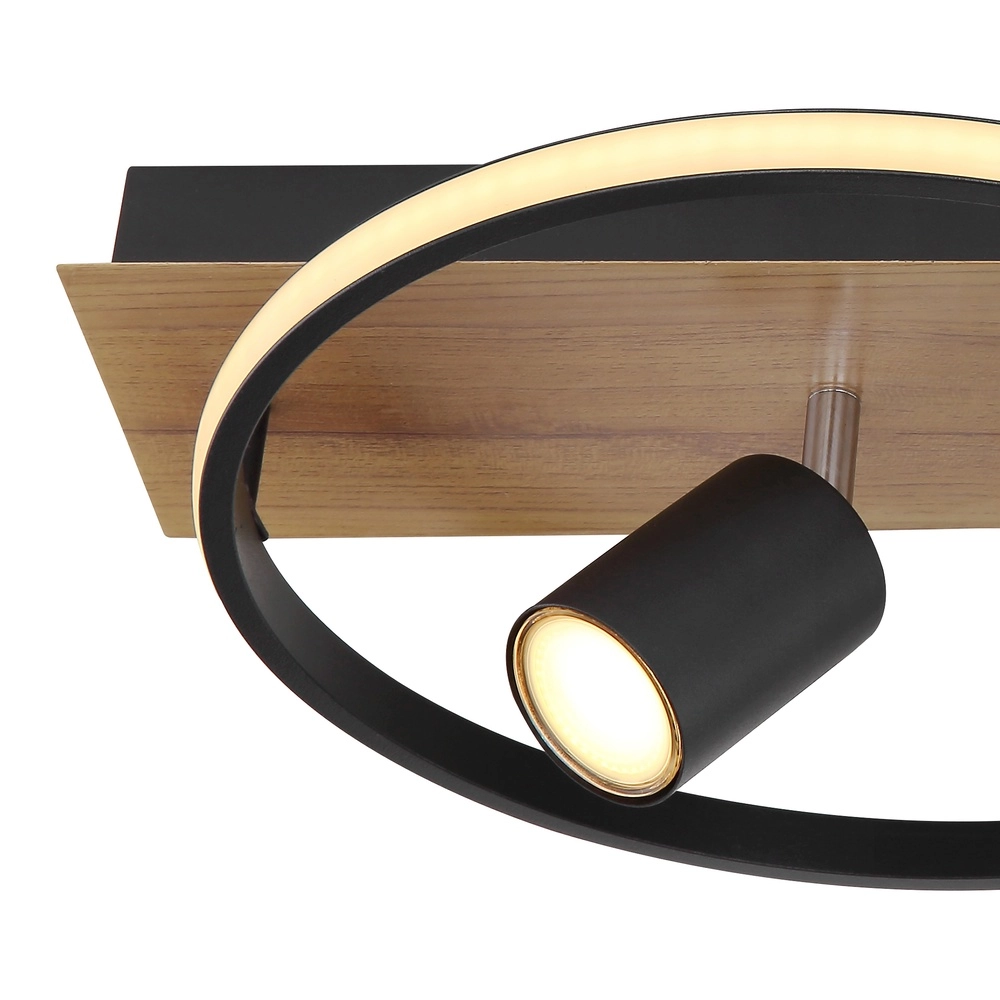 Ceiling lamp Danny Black Globo 9007371437696