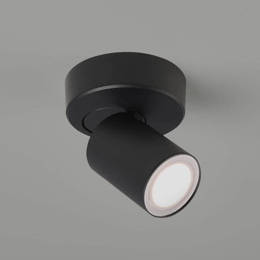 Ceiling lamp Moon 1 Round Black Lyora