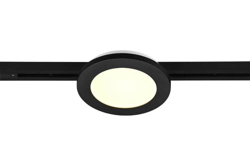 Ceiling lamp Camillus Matt black