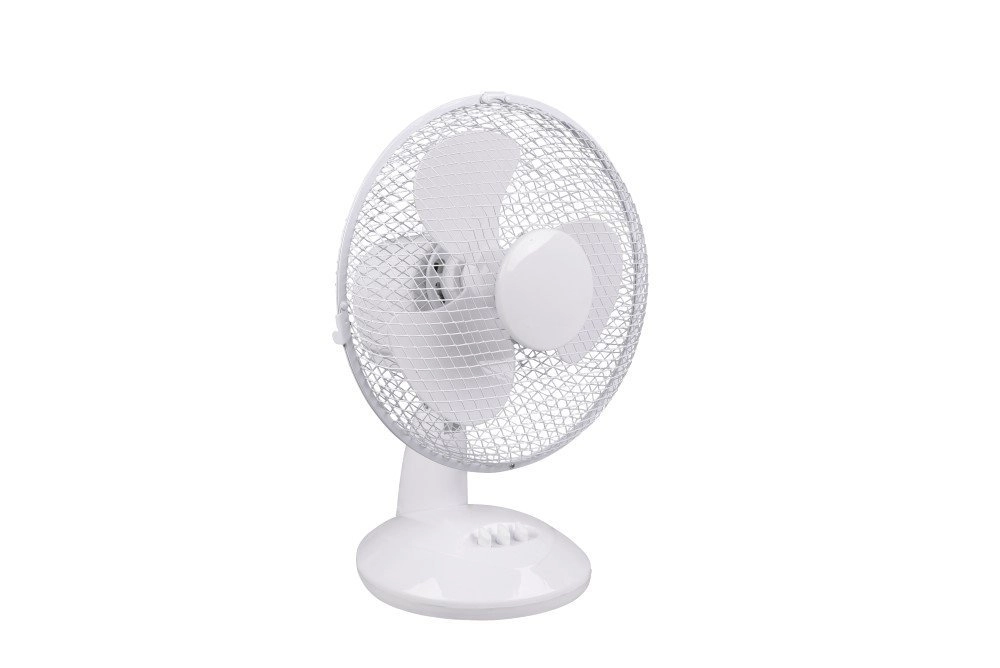 Table fan Bergen