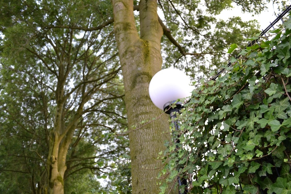 Ball lamp Bolano 20cm. Lyora 8716803507319