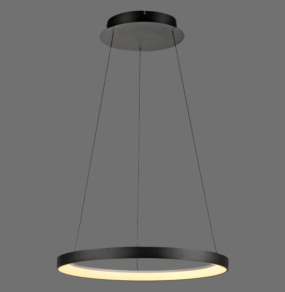 Round pendant lamp Hoop black Paul Neuhaus 4012248384695