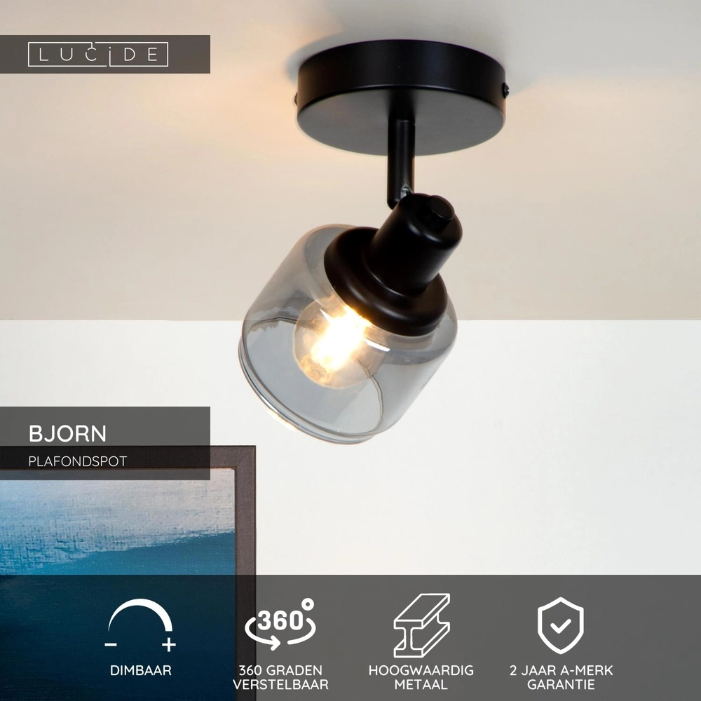 Ceiling lamp Bjorn Single Black Lucide 5411212771216
