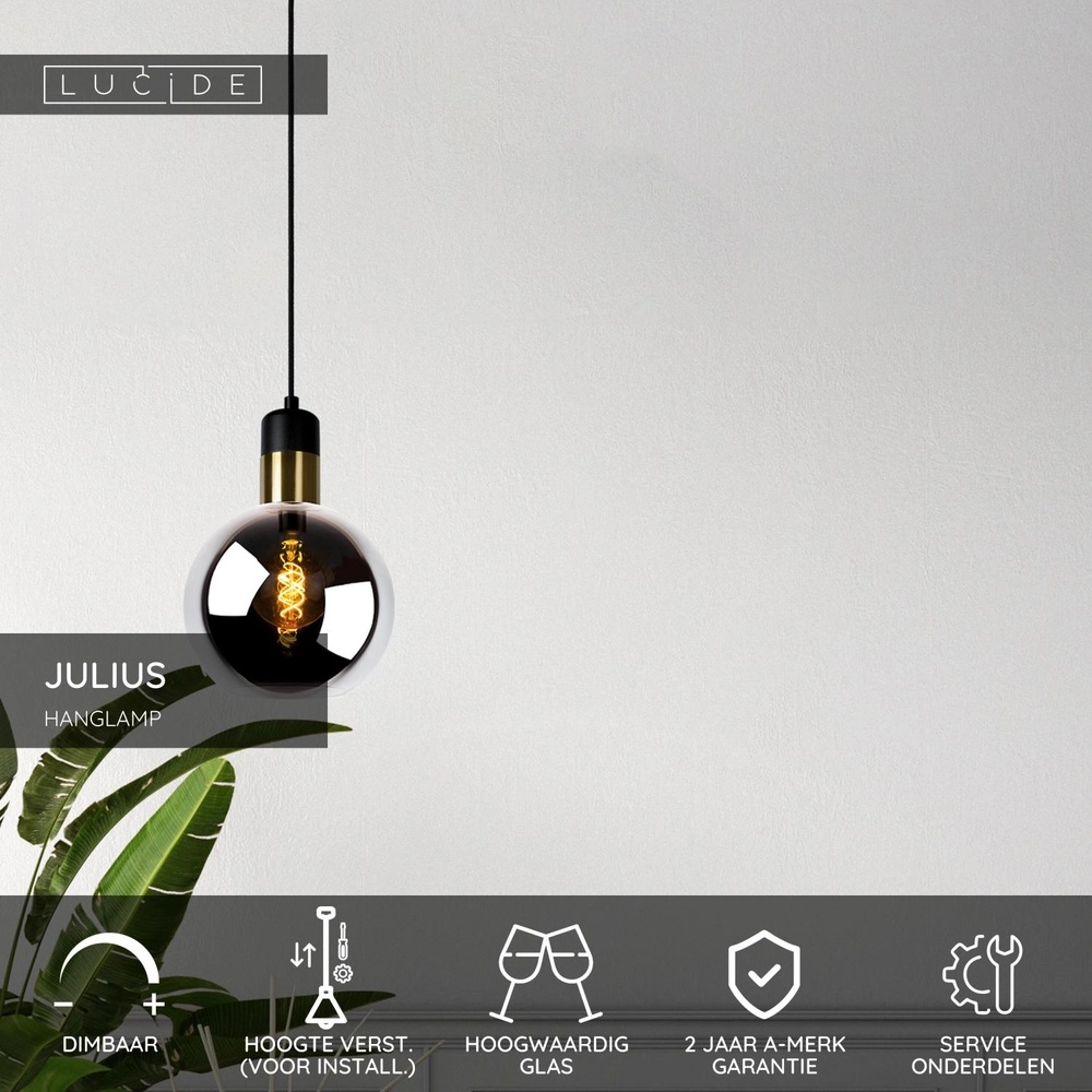 Pendant lamp Julius Ø 20cm smoke glass Lucide 5411212343321
