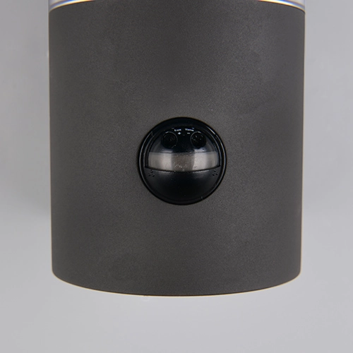 Wall lamp Tagus anthracite with sensor Trio 4017807686821