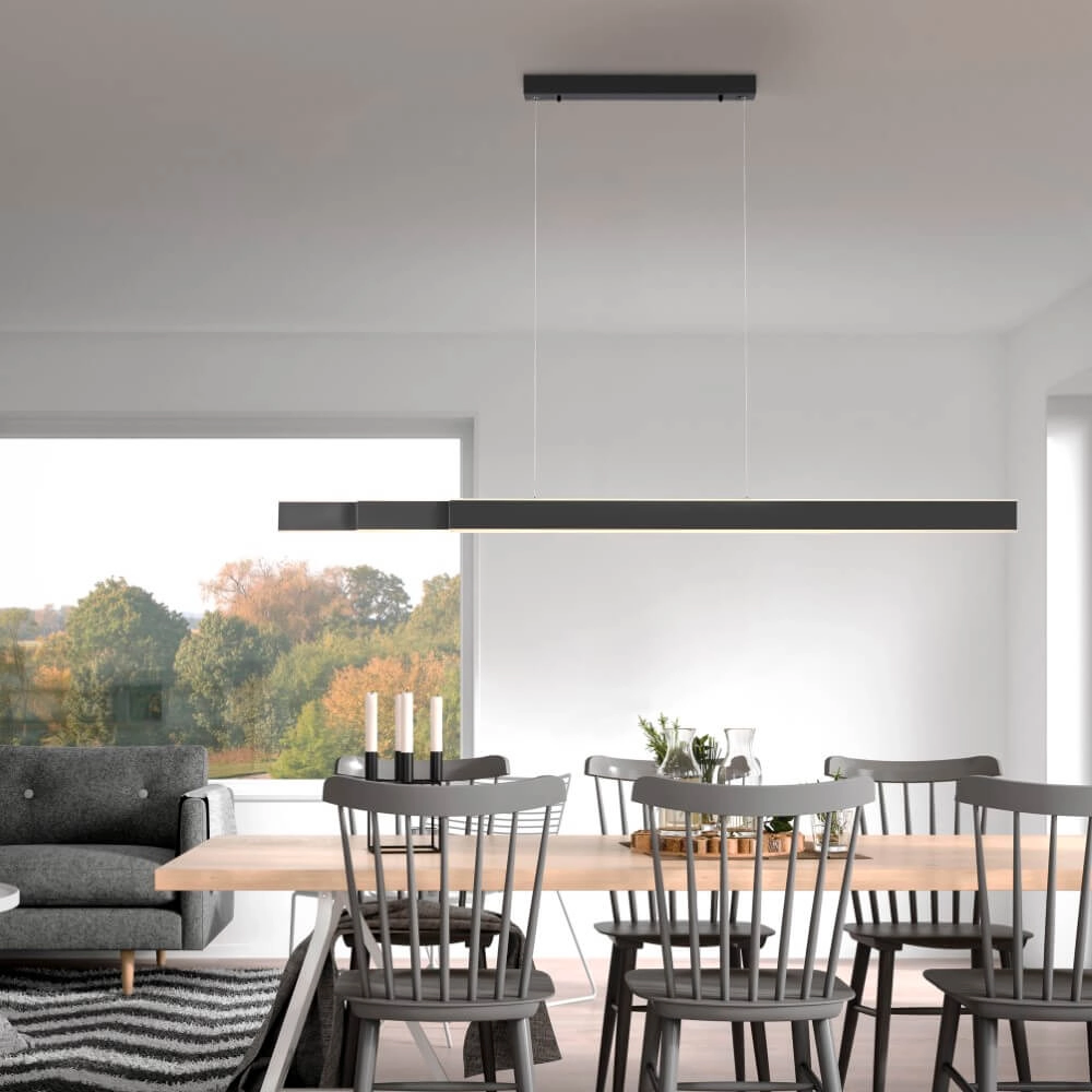 Sleek hanging lamp Pure Lume anthracite Paul Neuhaus 4012248357842