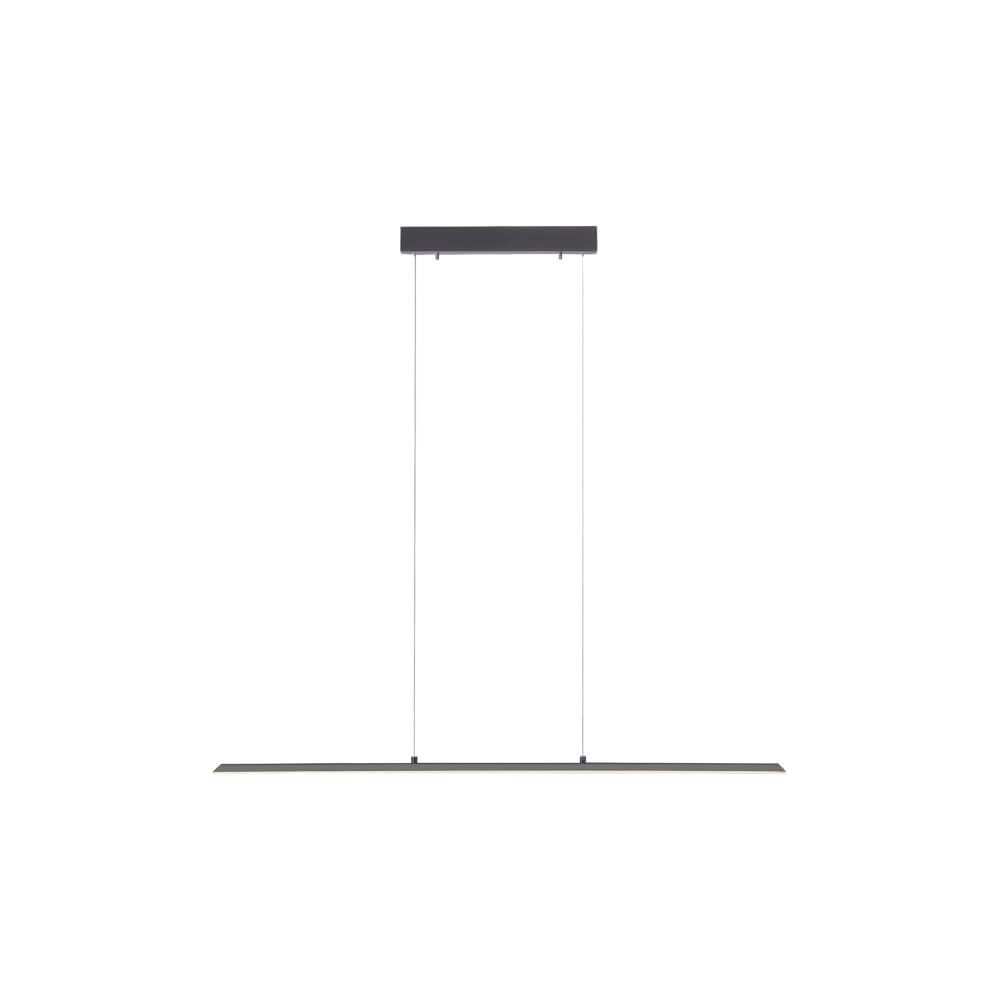 Design hanging lamp Pure Lite 100cm anthracite Paul Neuhaus 4012248344873