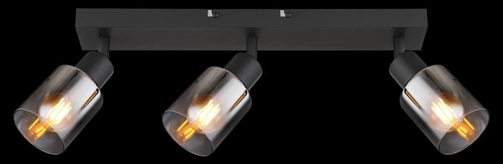 Ceiling lamp Hubertus 3-light Globo 9007371452019