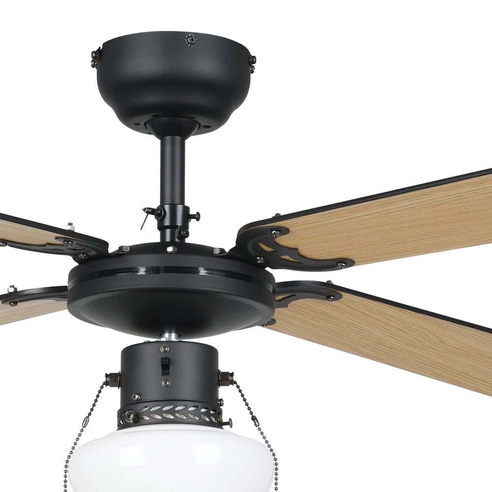 Ceiling fan Fortaleza black Eglo 9002759313524