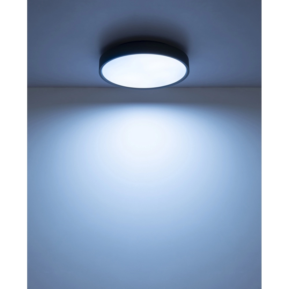 Ceiling light Jess Black Globo 9007371592470