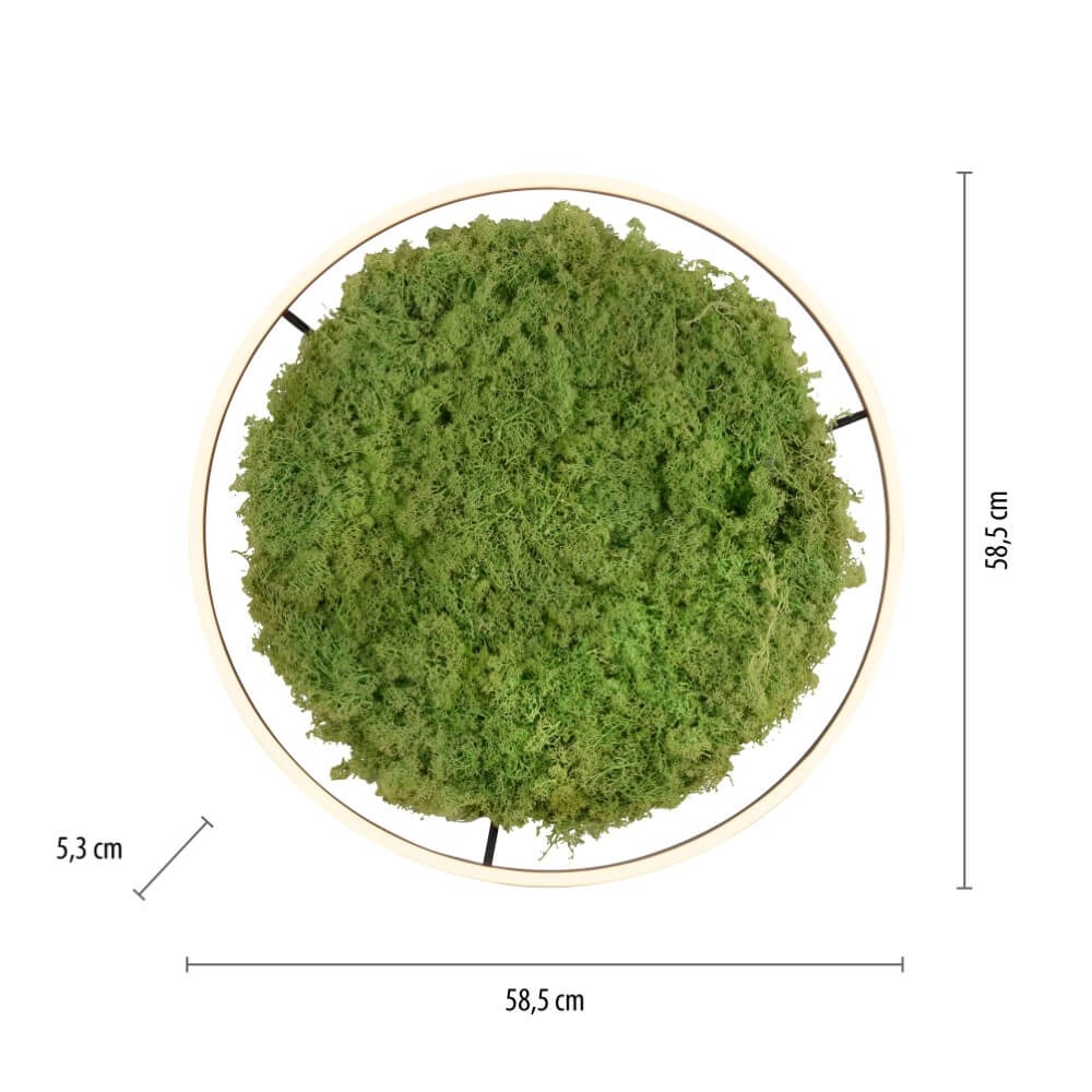 Ceiling lamp Green Ritus with moss Ø 58,5cm Just Light 4043689994808