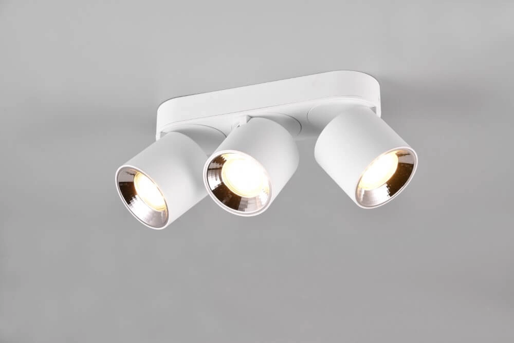 Ceiling light Guayana 3-light white Trio 4017807573985
