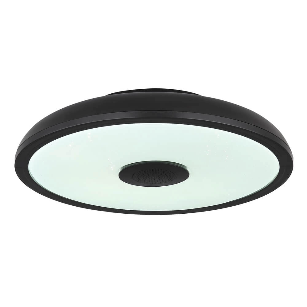 Black ceiling light Raffy Ø 28cm Globo 9007371418848