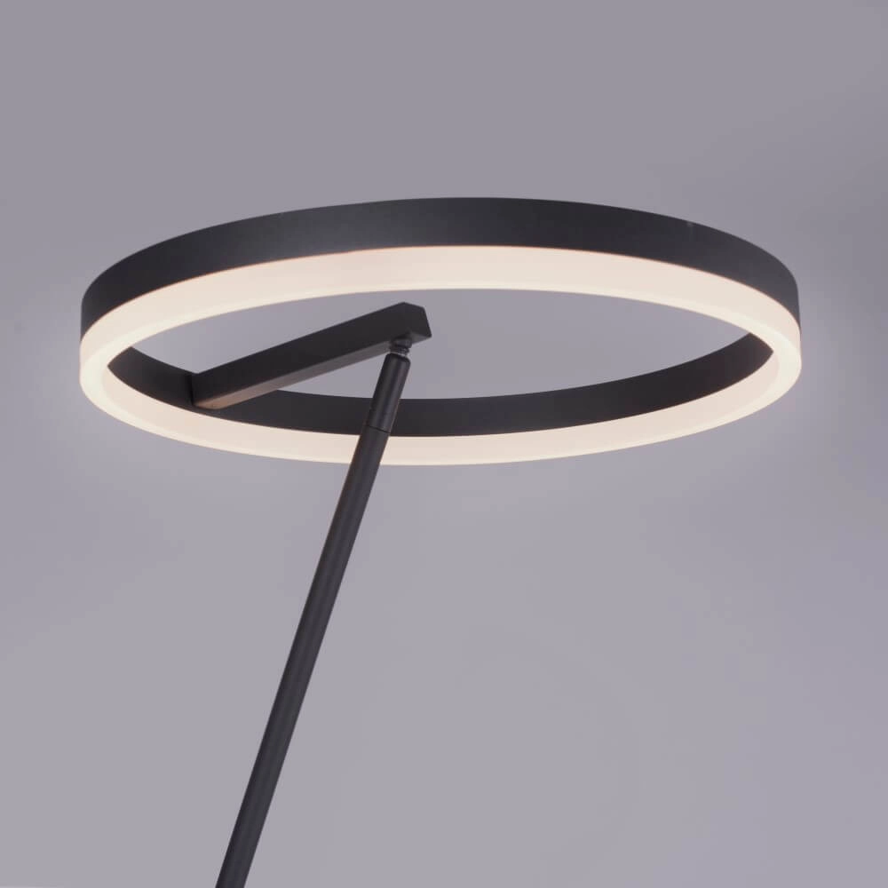 Anthracite floor lamp Titus modern Paul Neuhaus 4012248357637