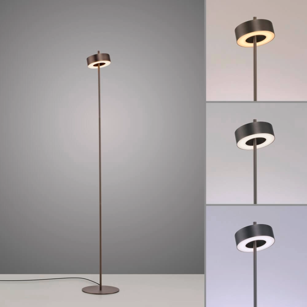 Floor lamp Q-Rotate Design brown Paul Neuhaus 4012248383230