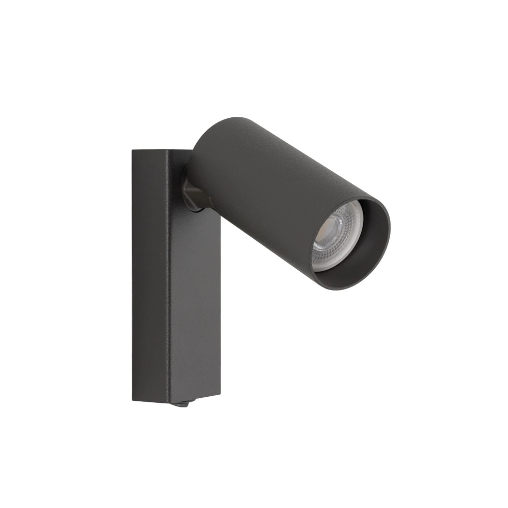 Directional spotlight Fourty with switch - dark grey Lyora 5903139117661