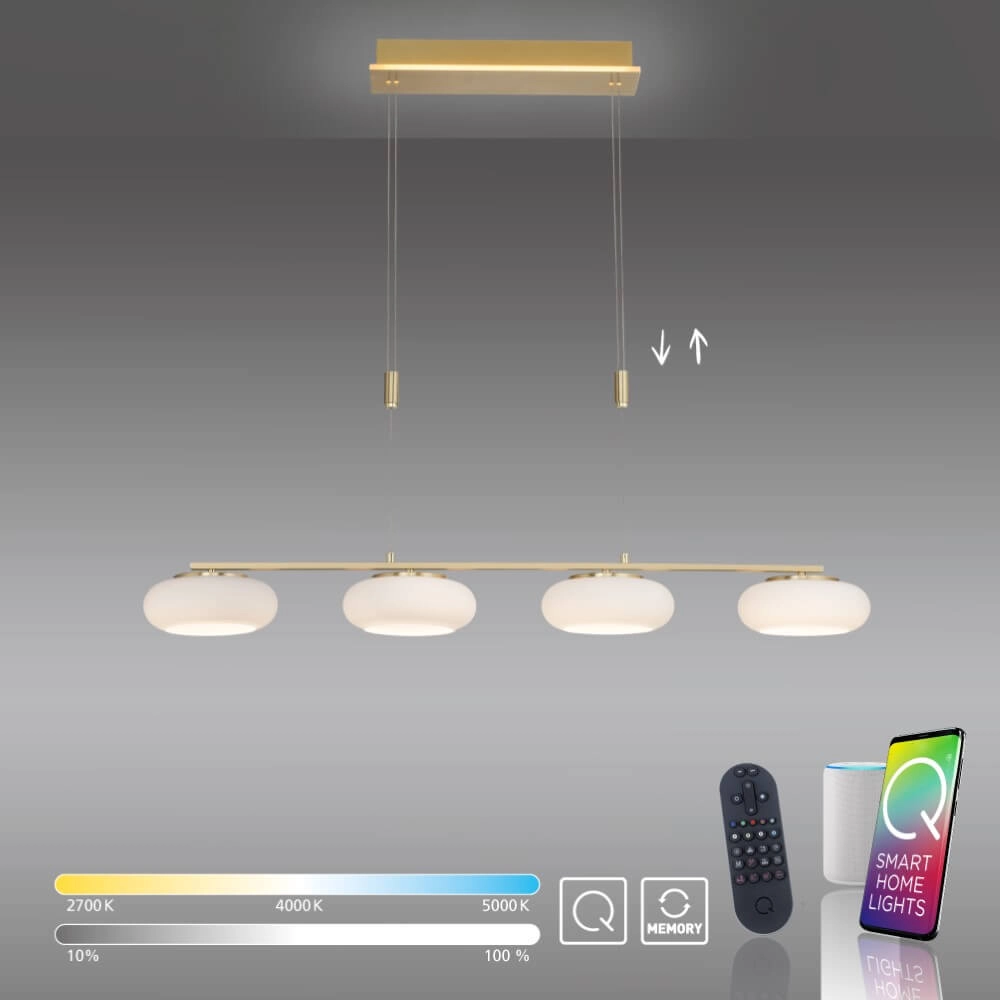 4-light pendant lamp Q-Etienne brass straight Paul Neuhaus 4012248350478