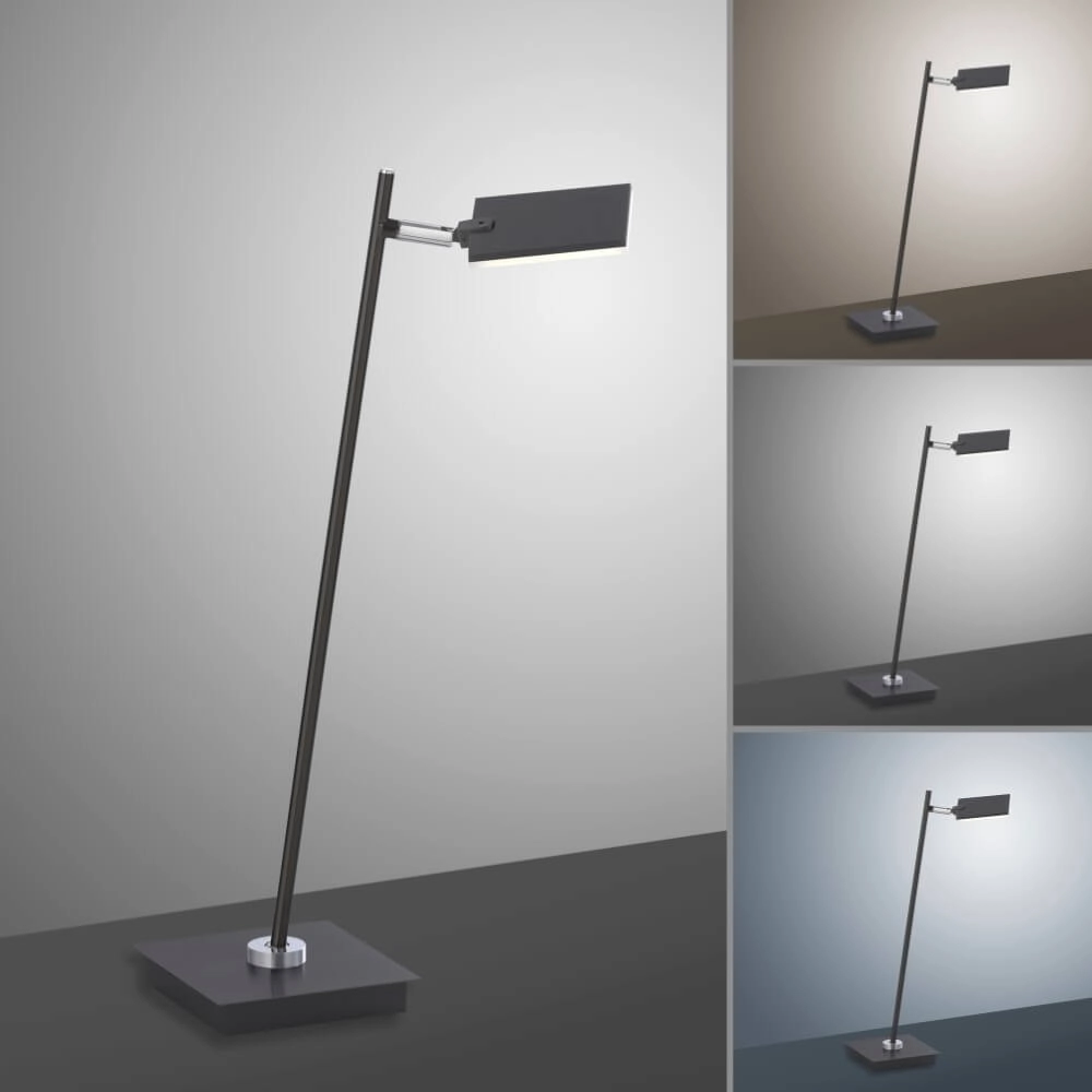 Designer table lamp Pure Mira black Paul Neuhaus 4012248367520