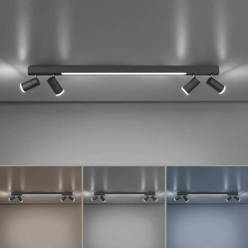 Sleek ceiling lamp Pure Lines Spot anthracite Paul Neuhaus 4012248366349