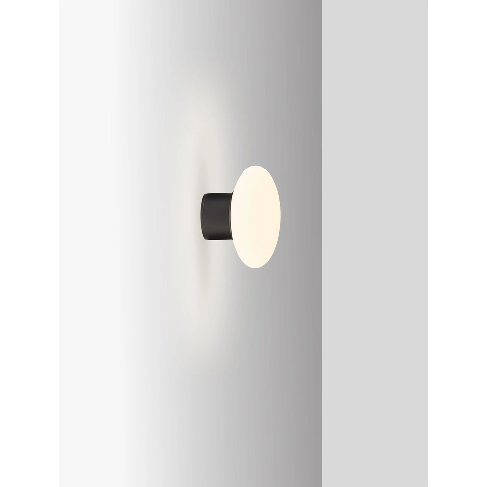 Ceiling lamp Ali anthracite with oval white glass Lyora 5212017476456