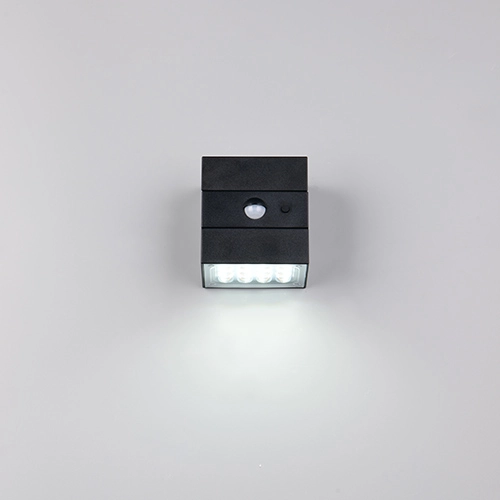 Wall lamp Talca Black Trio 4017807691658