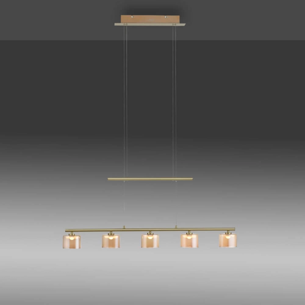 5-light pendant lamp Hydra brass Paul Neuhaus 4012248364987