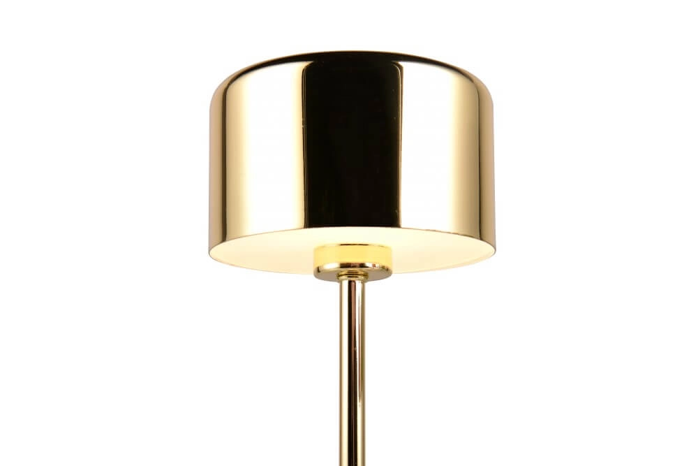 Rechargeable table lamp Jeff gold Trio 4017807598933