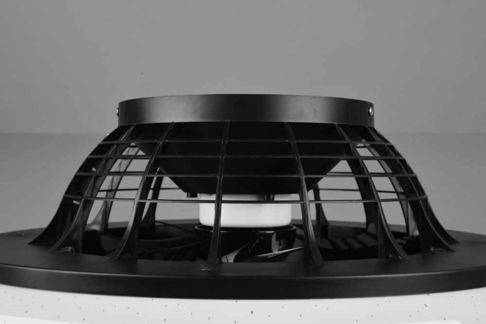 Black ceiling fan Stralsund Trio 4017807491098
