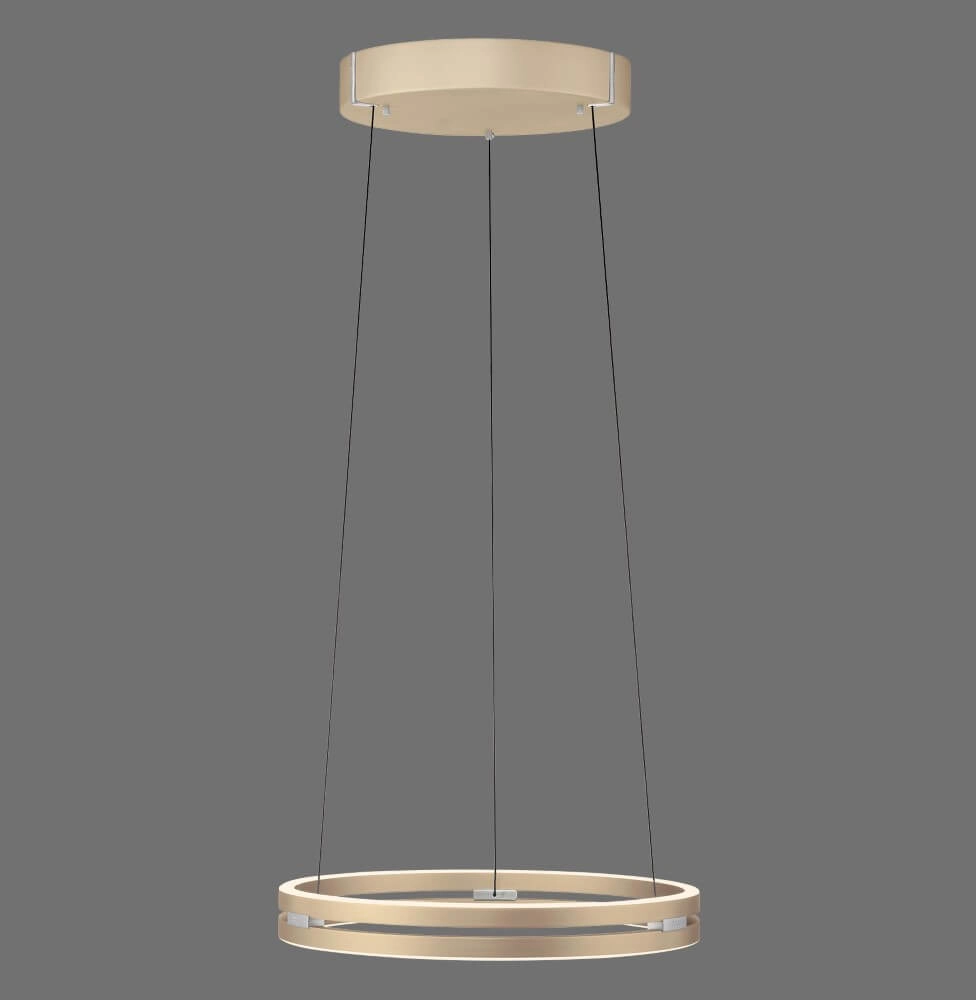 Sleek hanging lamp Pure E-Loop brass Paul Neuhaus 4012248372265