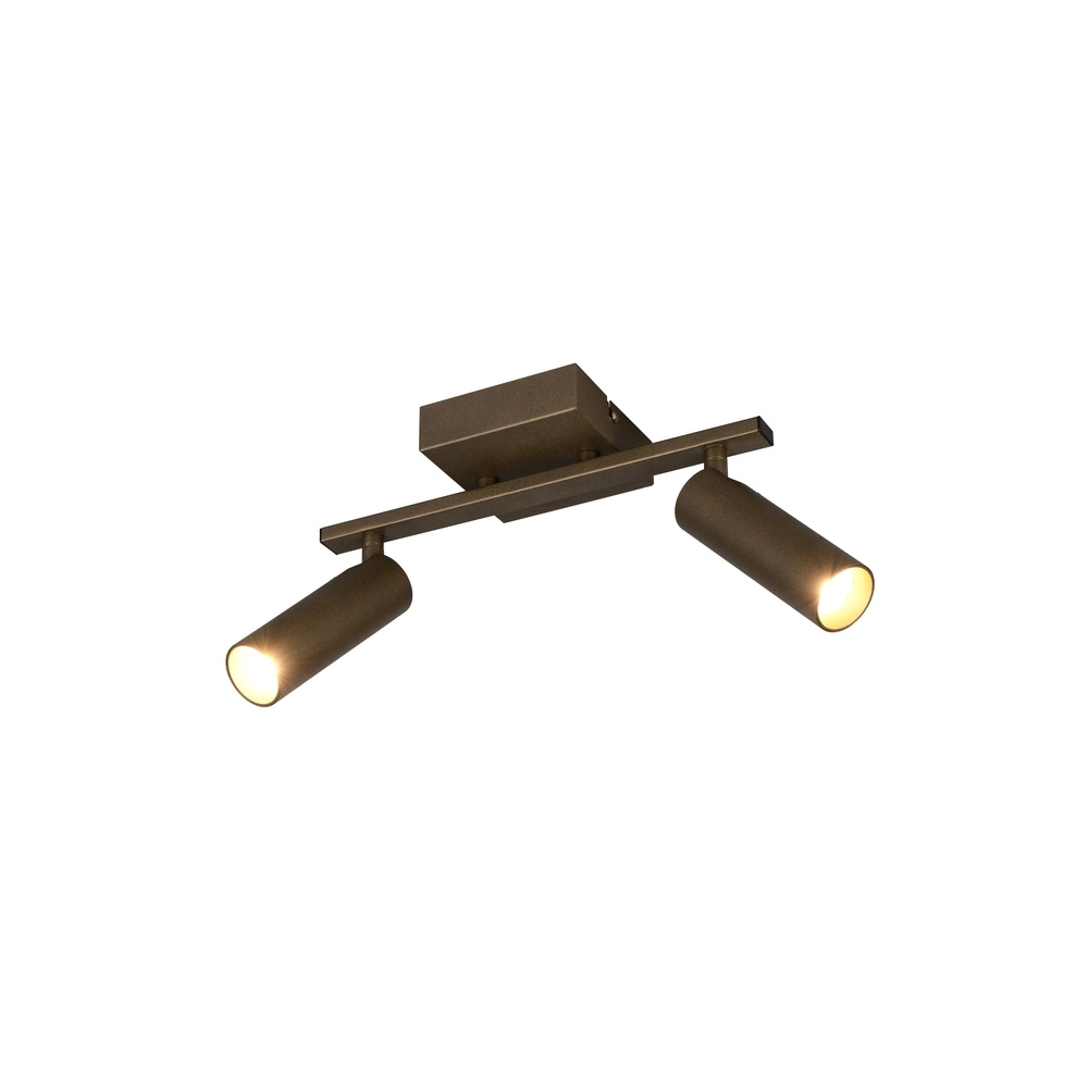 Surface-mounted spot Dara 2-light platinum