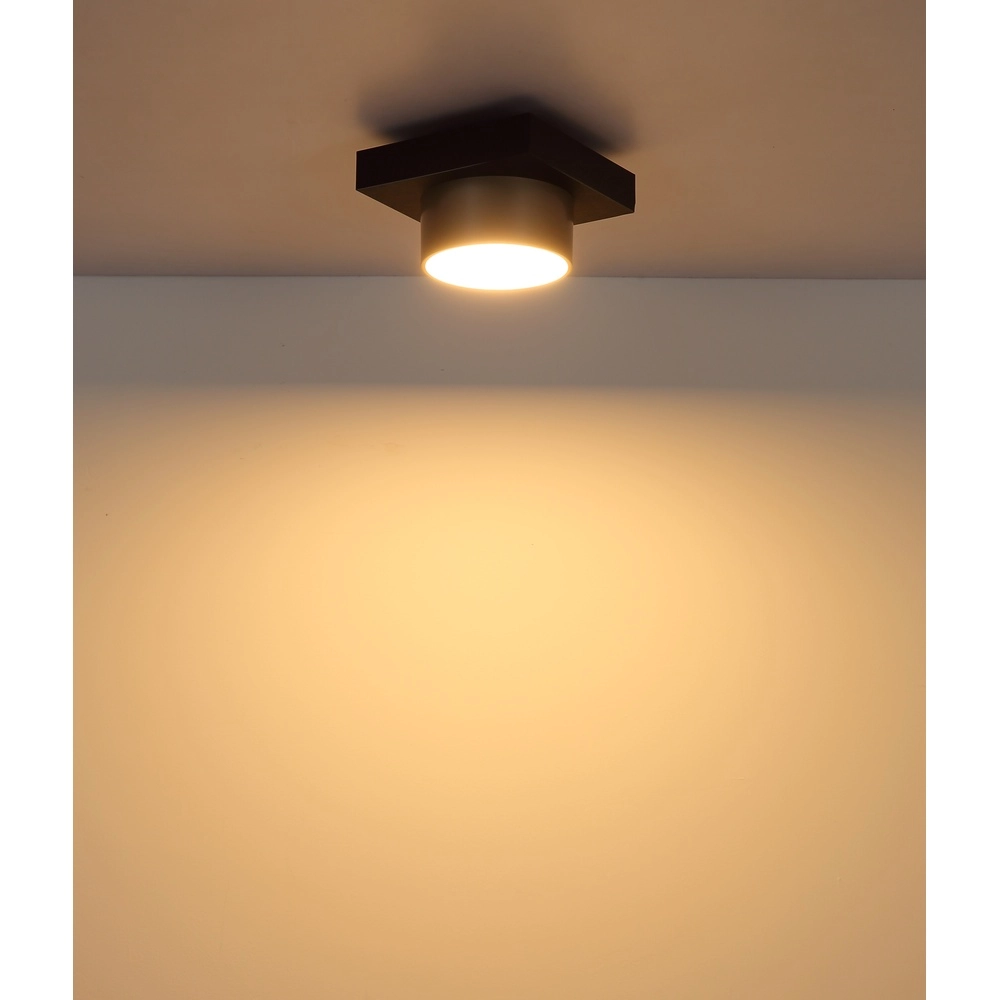 Ceiling lamp Raymond black with champagne Globo 9007371569373