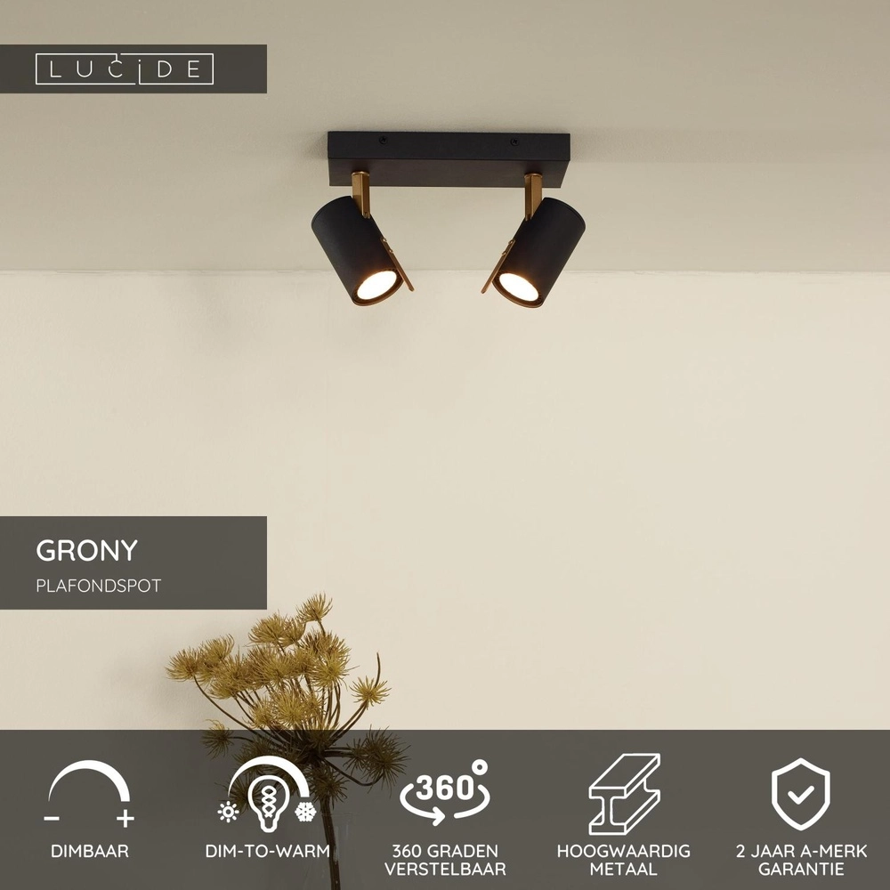 Ceiling lamp Grony 2-light black Lucide 5411212176905