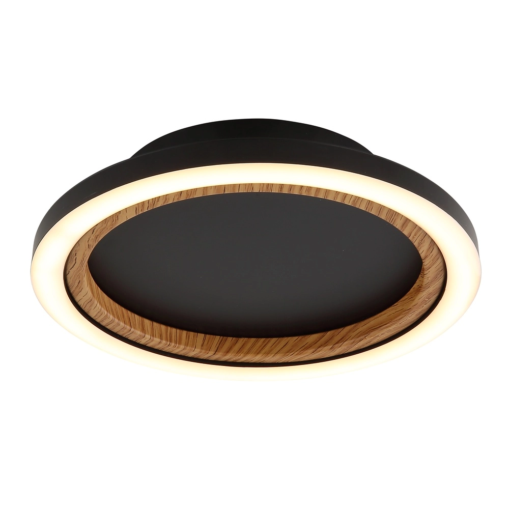 Ceiling lamp Dakari I Single ring black