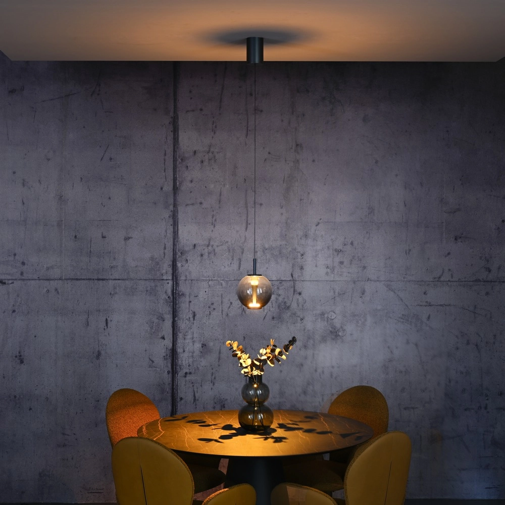 Led pendant light Pure Infinity with smoke glass - Ø 18cm Paul Neuhaus 4012248399033