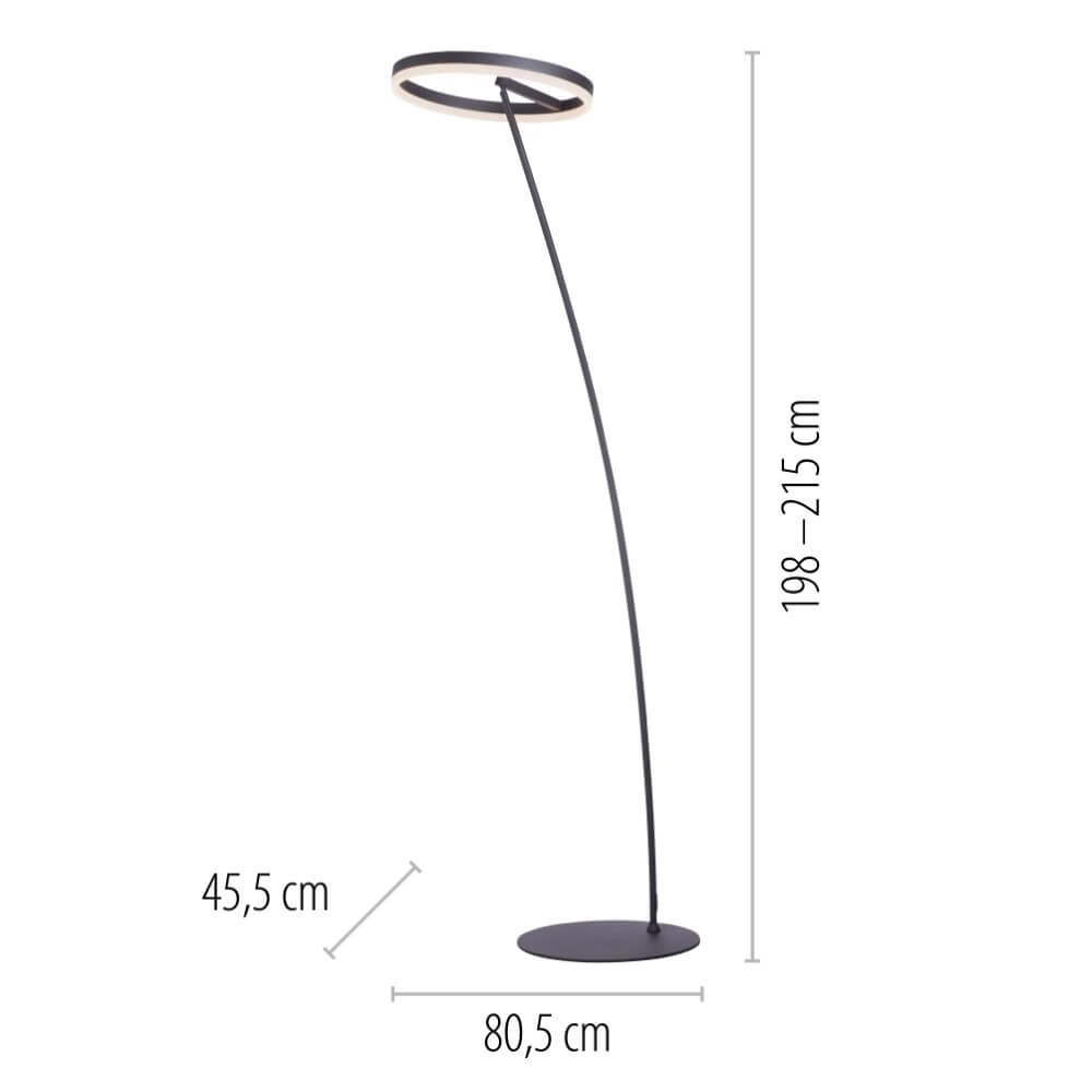 Anthracite floor lamp Titus modern Paul Neuhaus 4012248357637