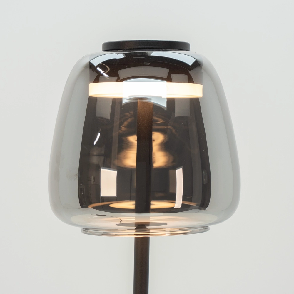 Floor lamp Alfero-Z Smoke Glass - App Control Eglo 9008606312870