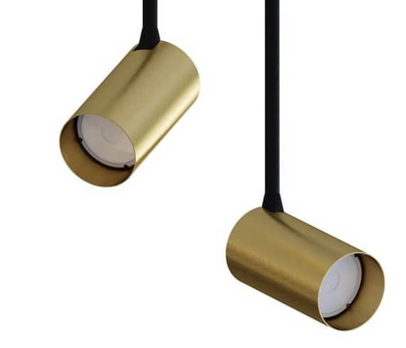 Gold surface-mounted spotlight Mono Long 2-light Lyora 5903139773393