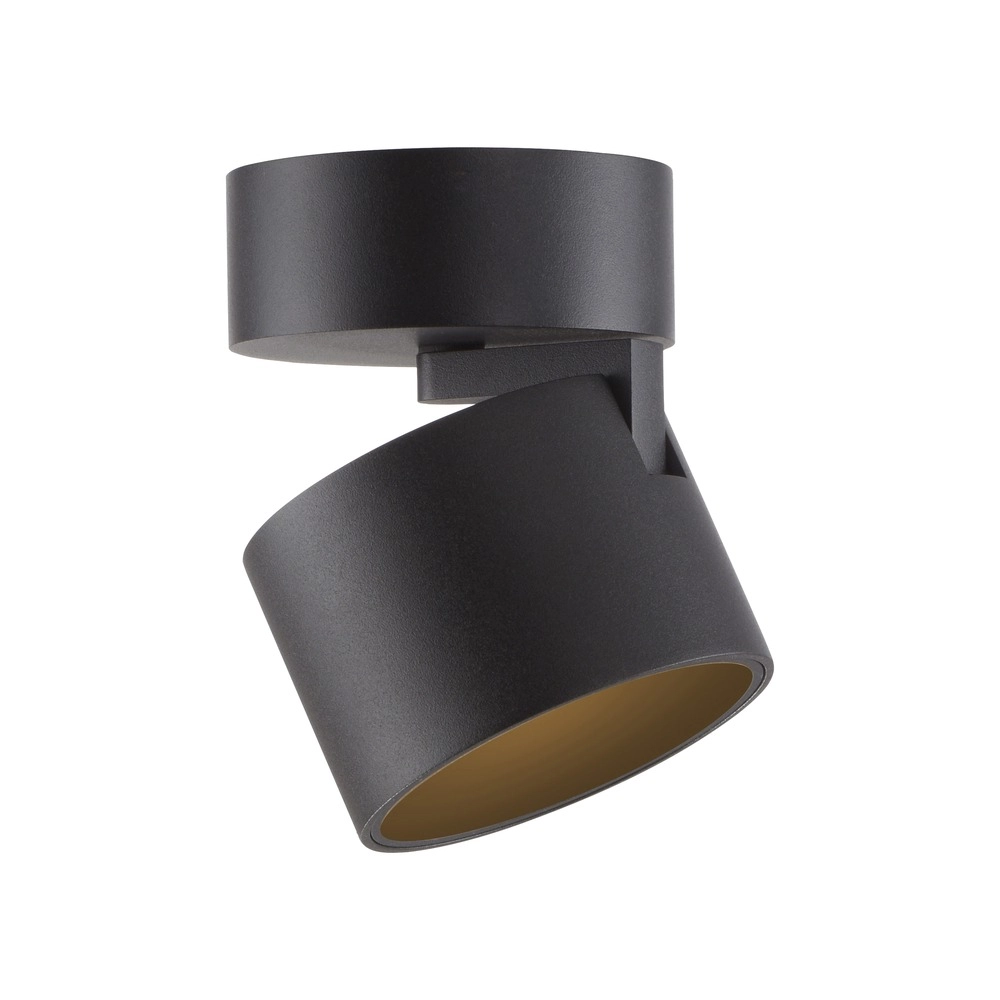 Sleek surface-mounted spot Pure Cup black pearl Paul Neuhaus 4012248395585