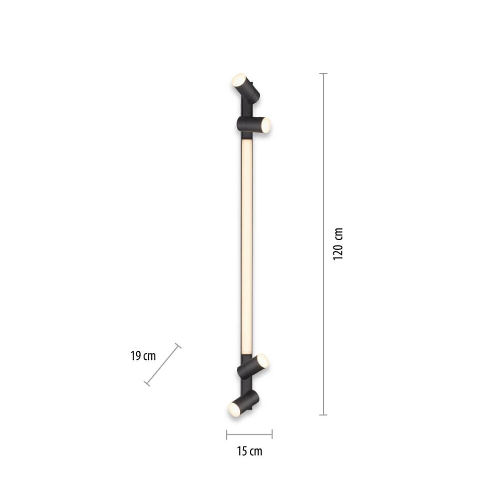 Sleek ceiling lamp Pure Lines Spot anthracite Paul Neuhaus 4012248366349