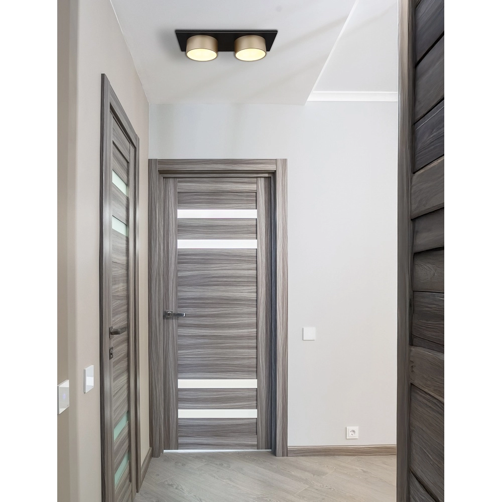 2-light ceiling lamp Raymond black with champagne Globo 9007371522873