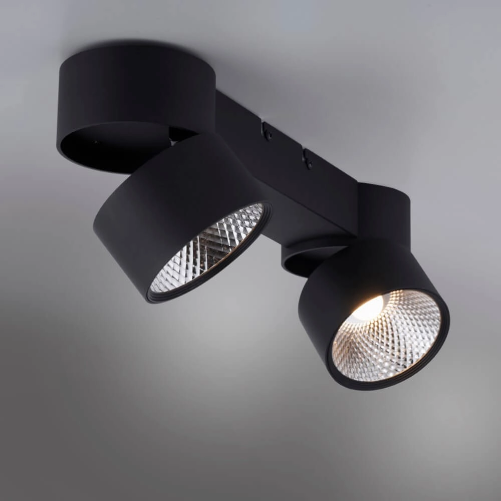 Ceiling lamp Pure Nola 2-light black Paul Neuhaus 4012248372005