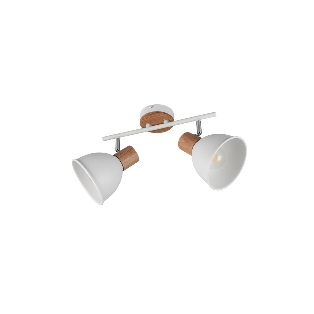Ceiling lamp Delume double white Trio 4017807672251
