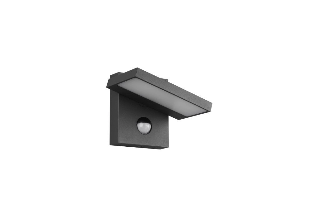 Outdoor lamp Horton with motion sensor Trio 4017807492354