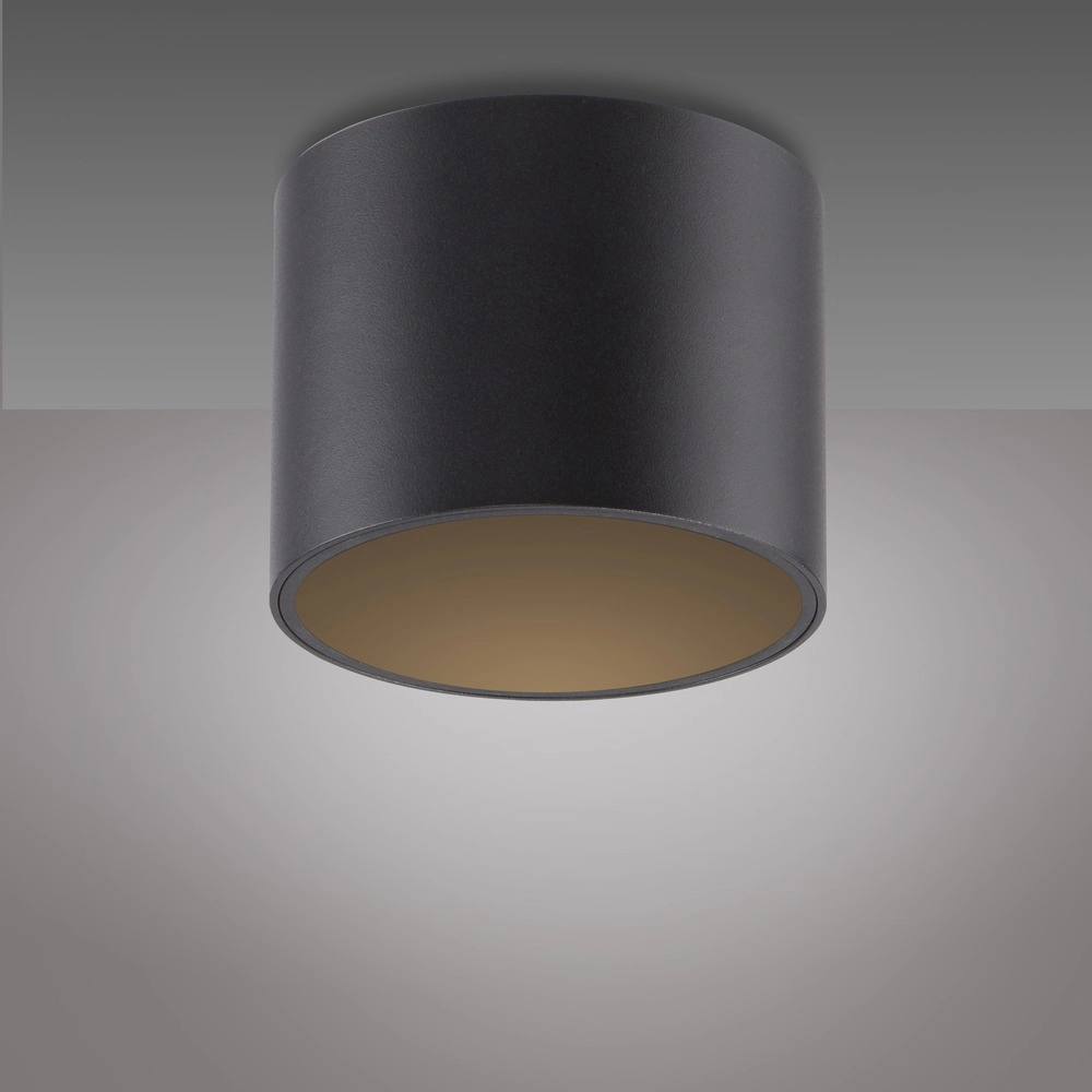 Ceiling surface-mounted spot Pure Point Ø 11cm - black pearl Paul Neuhaus 4012248395646