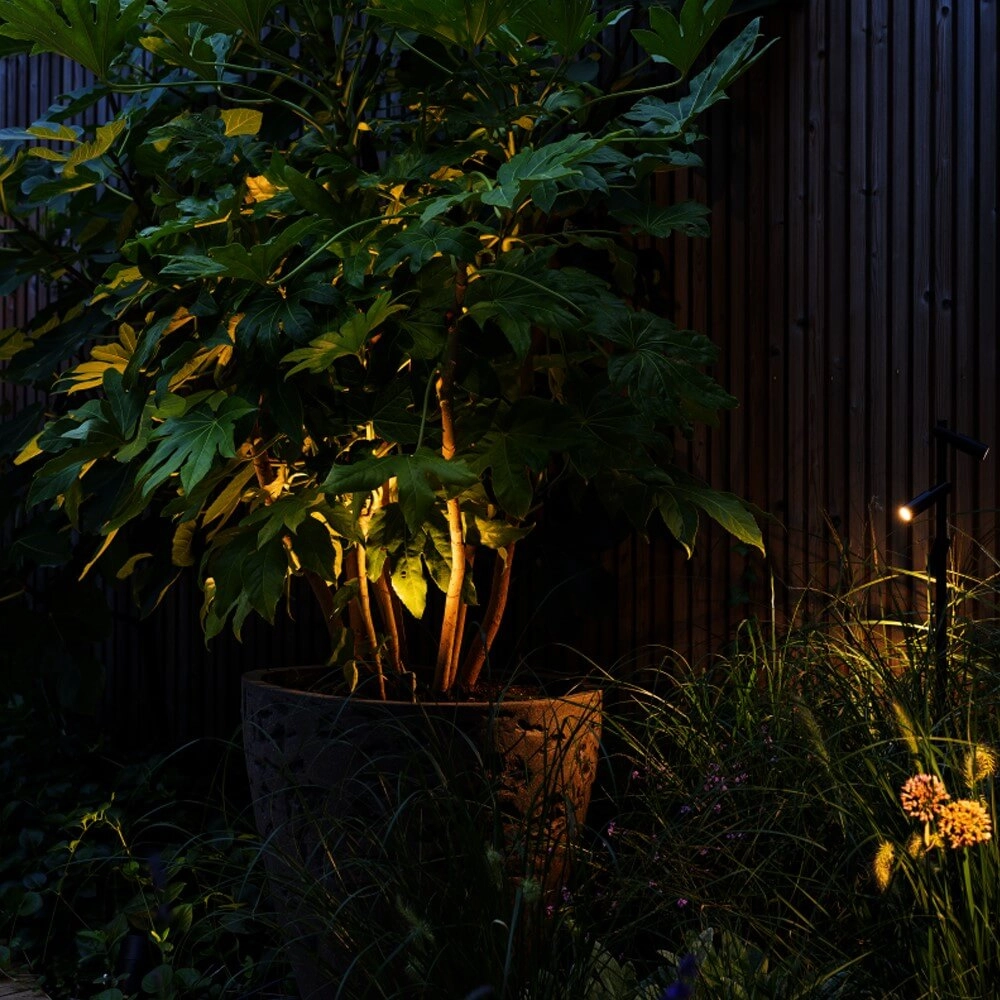 Garden spotlight Aim 12 volts In-lite 8717051006609