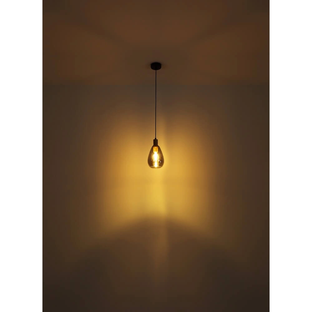 Pendant lamp Fanni single Ø 15cm Globo 9007371430611